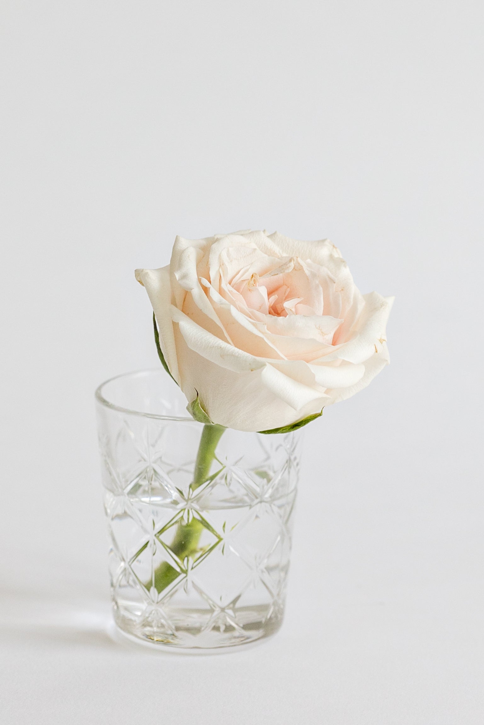 Image of a rose in a glass of water